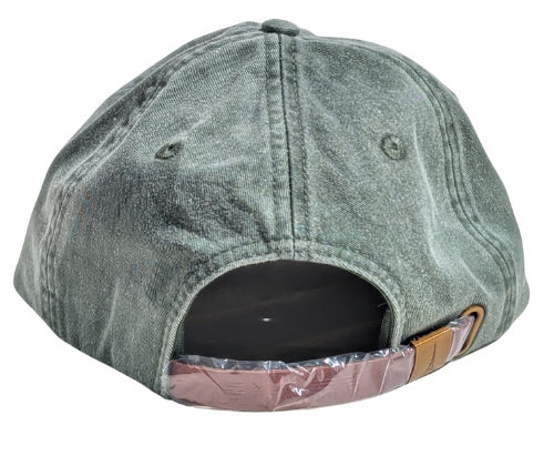 Ask Me About Bees Cap