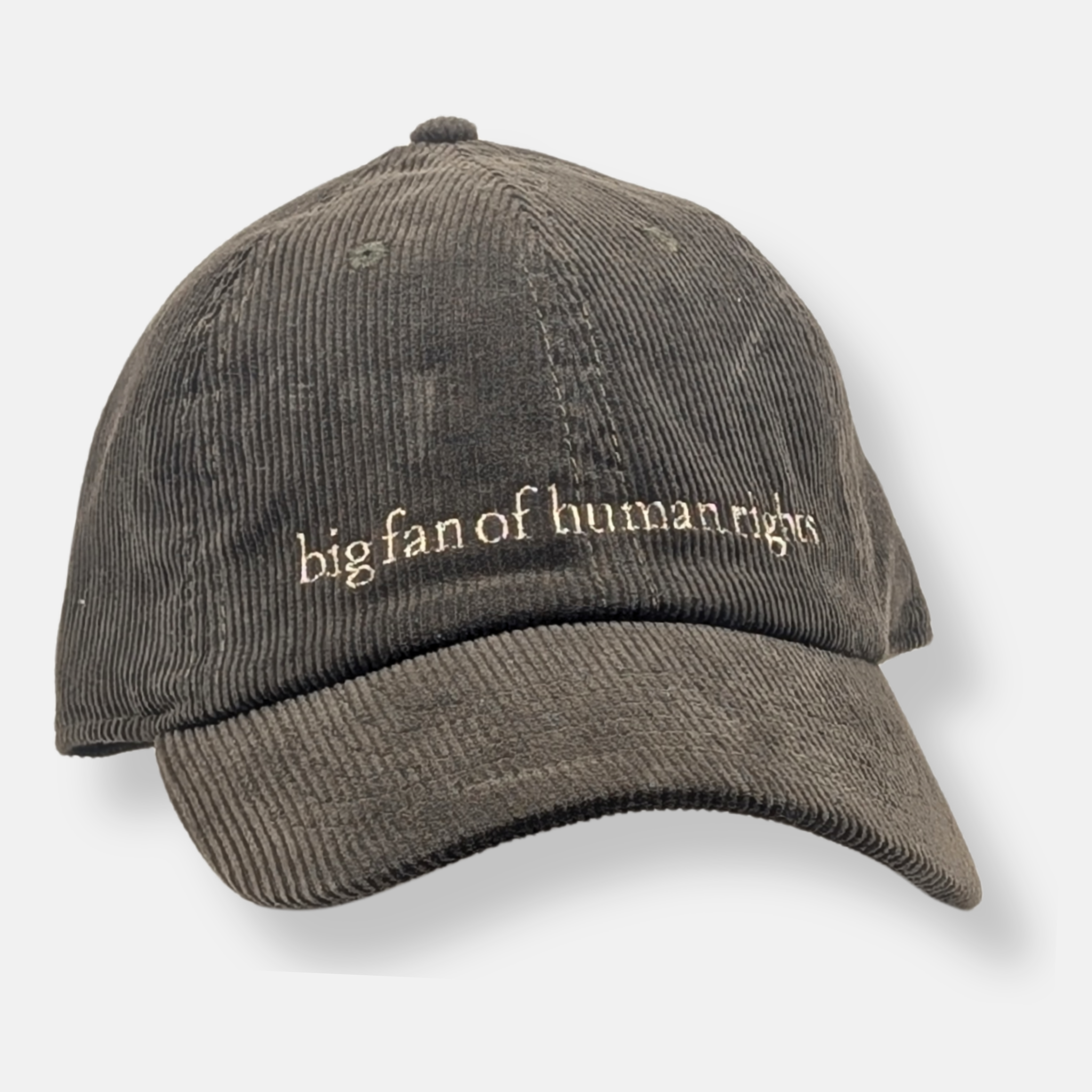 Big Fan Of Human Rights Cap