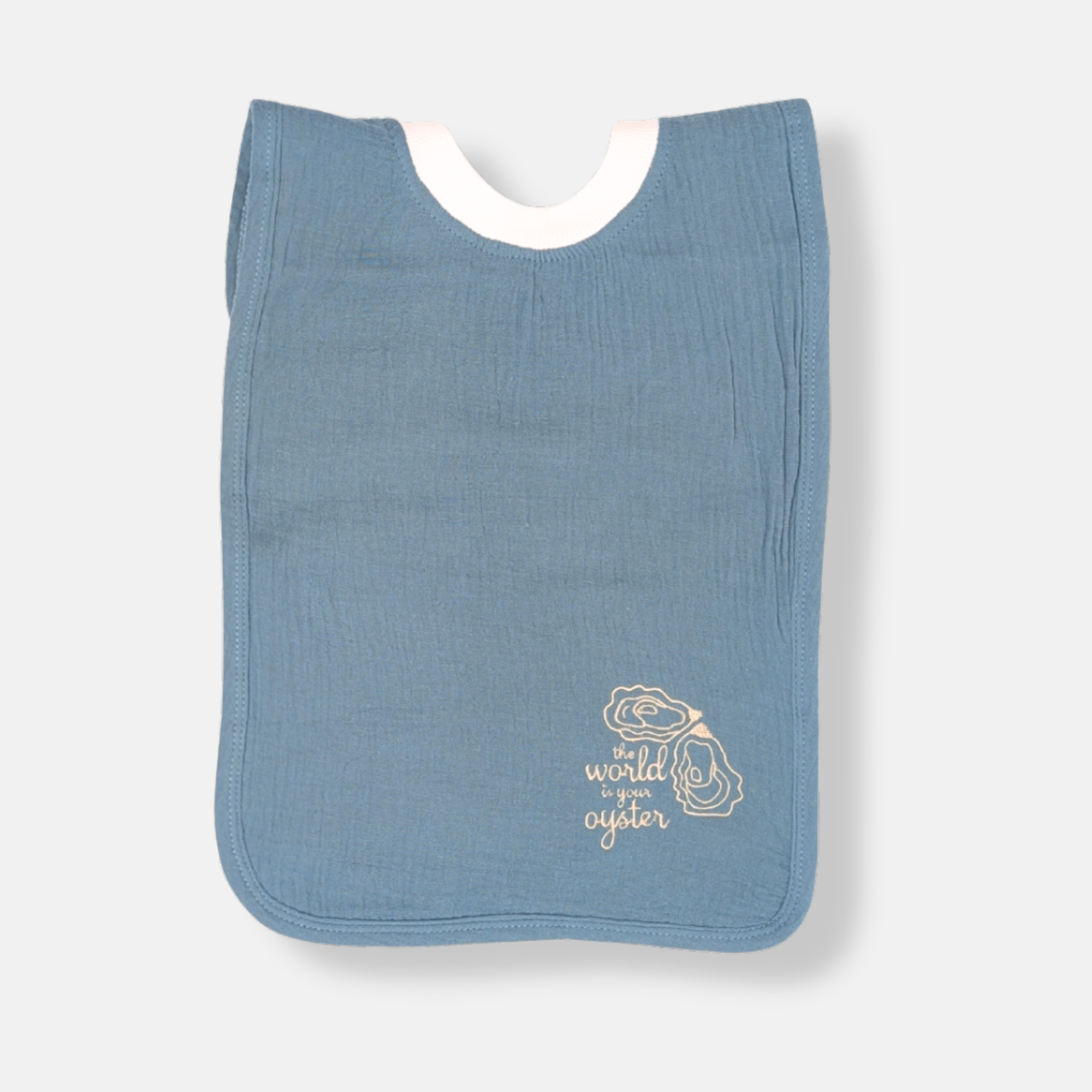 The World Is Your Oyster Bib